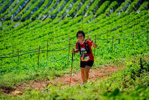 BIB: 
                            <button type="button" onclick="openModal(19163688)" class="btn btn-primary btn-sm float-right btn-popup" data-toggle="modal" data-target=".modal-high-quality">
                        <i class="fas fa-shopping-cart"></i> Add to Cart
                    </button>
                                            <button type="button" onclick="isThisMe(19163688, true)" class="btn btn-success btn-sm float-right btn-popup btn-isme hidden" data-toggle="tooltip" data-placement="bottom" title="นี่คือรูปของคุณใช่ไหม คลิกที่นี่เพื่อเอาเข้าอัลบั้ม">
                        <i class="fas fa-plus"></i> Add to album
                    </button>
                    <button type="button" onclick="isThisMe(19163688, false)" class="btn btn-warning btn-sm float-right btn-popup btn-isnotme hidden">
                        <i class="fas fa-ban"></i> Remove from album
                    </button>